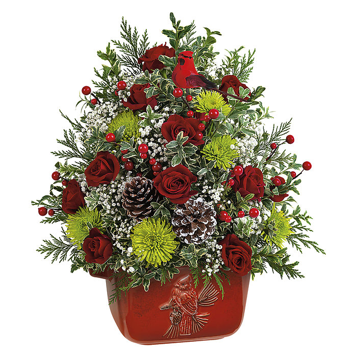 Cardinal Heirloom Tree