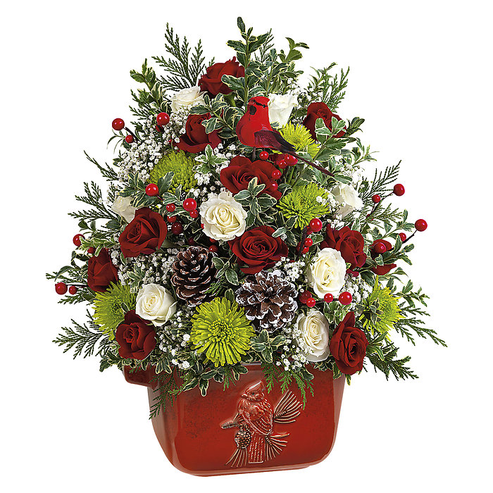 Cardinal Heirloom Tree