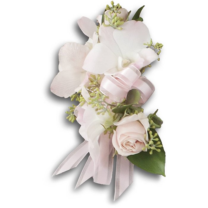 Beautiful Blush Corsage