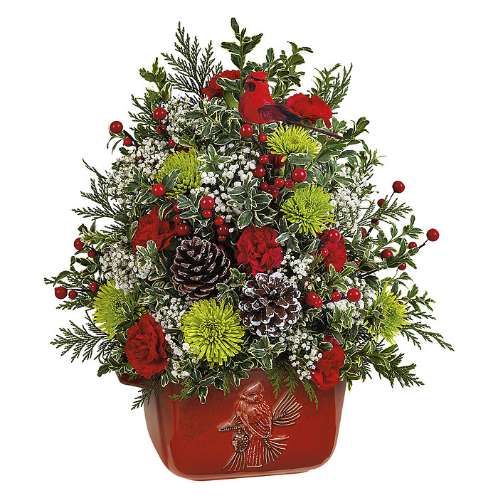 Cardinal Heirloom Tree