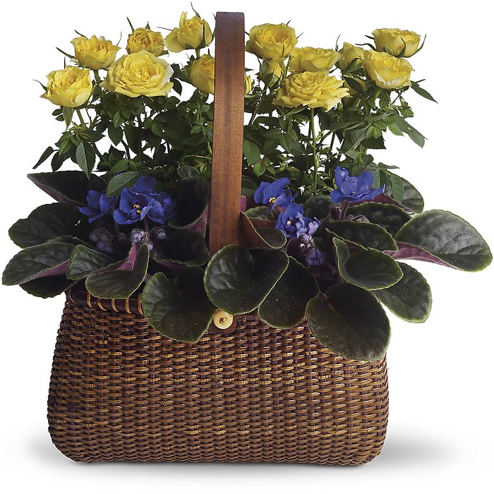 Garden To Go Basket