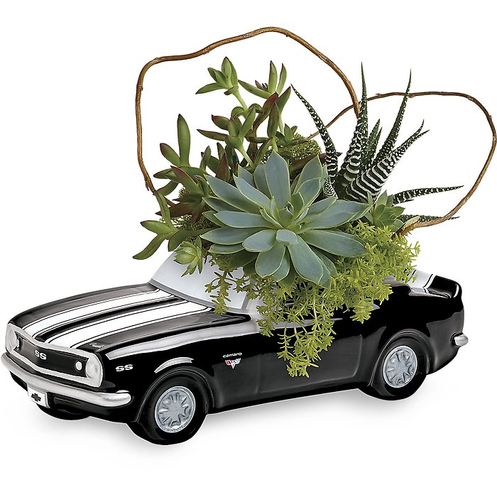 Chevy Camaro Plant Garden